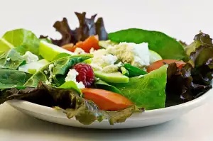 Dieta Při Salmonele